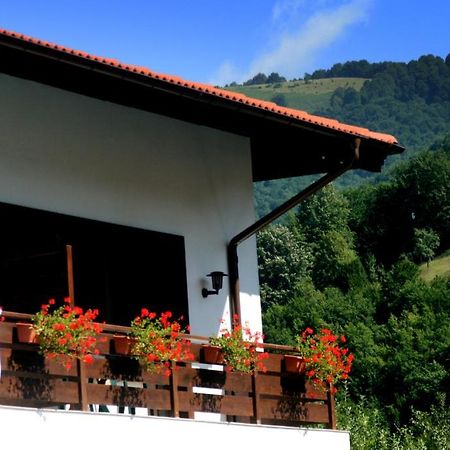 Spa Hotel Planinata ريباريكا الغرفة الصورة