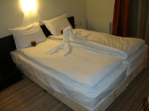 Spa Hotel Planinata ريباريكا الغرفة الصورة
